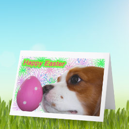 Prettig Pasen Cavalier King Charles Spaniels Feestdagen Kaart