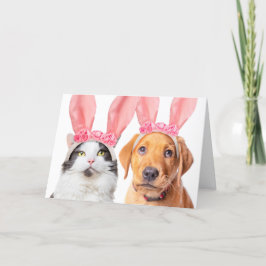 Prettig Pasen Mooie Kat en Puppy in Konijnenoren  Feestdagen Kaart