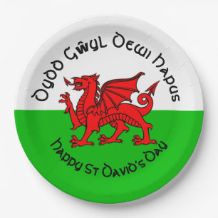Prettig St Davids-dag in Keltische stijl 9" Papieren Bordje