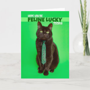 Prettig St. Patrick's Day Grappige Kat in Klaver Feestdagen Kaart