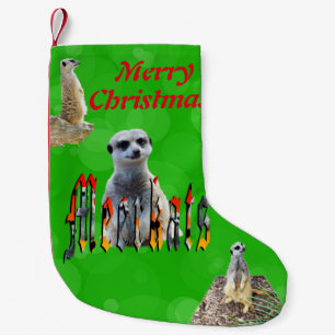 Prettig stokstaartje Kerstmis, Kleine Kerstsok