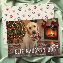 Prettig Stoute Hond Grappige Foto Kerstmis