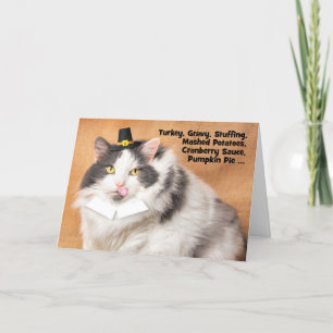 Prettig Thanksgiving Grappige Vette Kat in Pilgrim Feestdagen Kaart