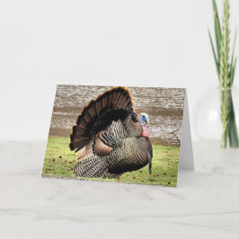 Prettig Thanksgiving Kaart