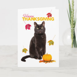 Prettig Thanksgiving Lief Zwart Kat Met Herfstblad Feestdagen Kaart