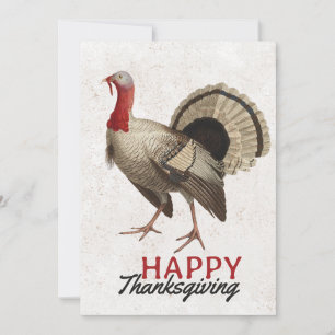 Prettig Thanksgiving Oud-Hollandse kalkoenvogel He Feestdagenkaart