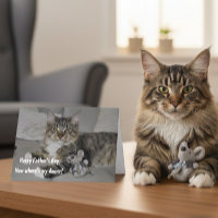 Prettig Vaderdag van de Kat