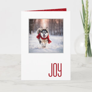 Prettig Vakantiehuis Met Een Rode Sjaal Husky Kaart