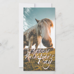 Prettig Valentijnsdag met kijkend Paard
