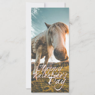Prettig Valentijnsdag met kijkend Paard