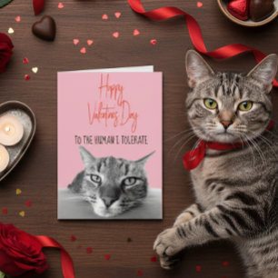 Prettig Valentijnsdag van Kat naar Mens Grappig Kaart