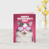 Prettig Valentijnsdag voor iedereen Funny Cat Humo Kaart (Gele Bloem)