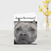 Prettige Anneversaire Pitbull Dog Greeting Card Kaart (Gele Bloem)