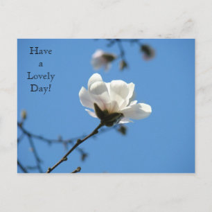 Prettige dag! ansichtkaart Witte Magnolia Lente Briefkaart