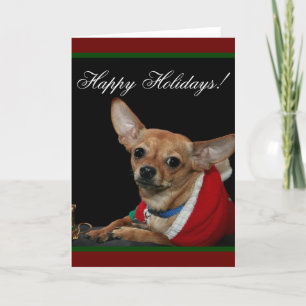 Prettige feestdagen €? Chihuahua Kaart