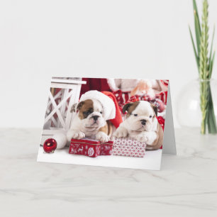 Prettige feestdagen Christmas English Bulldogs Kaa Kaart