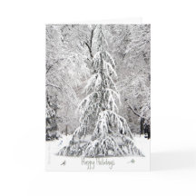 Prettige Feestdagen: Geniet van de Eenvoudige Gene