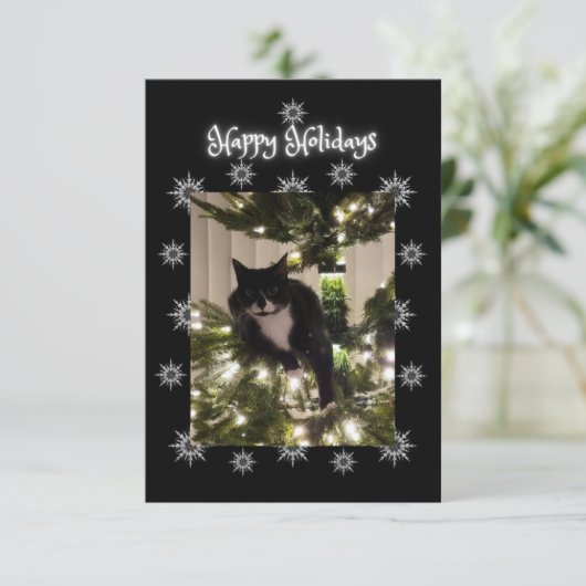 prettige feestdagen groet. Tuxedo kat. (Staand voorkant)