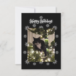 prettige feestdagen groet. Tuxedo kat.