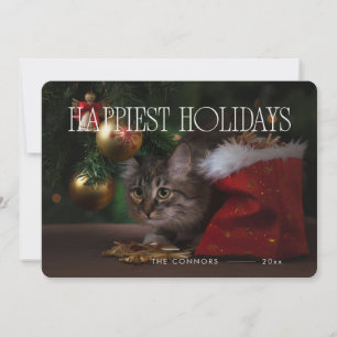 Prettige feestdagen Kerstwhisker Cat Schattige Feestdagenkaart