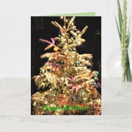 Prettige feestdagen Nee! Echte boom Echte sneeuw!  Kaart