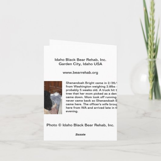 Prettige feestdagen (plural:) - Heldere Shenandoah (Achterkant)