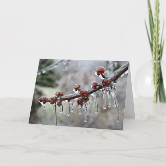 Prettige feestdagen (plural:) Kaart (Voorkant)