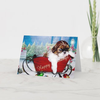 Prettige feestdagen (plural:) Shih Tzu Kaart