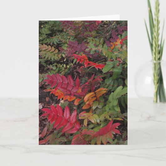 Prettige feestdagen (plural:) van het Vreedzame (Voorkant)