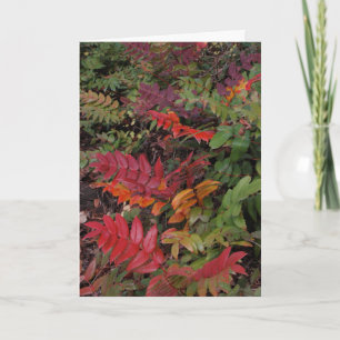 Prettige feestdagen (plural:) van het Vreedzame Kaart