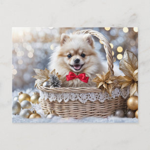 Prettige feestdagen Schattigee Pomeranian Puppy Ch