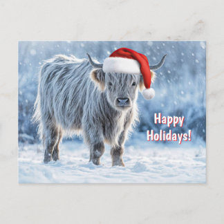 Prettige feestdagen Schattigeste Highland Calf in