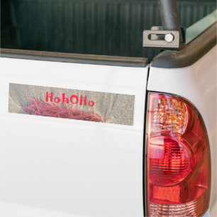 prettige feestdagen strandsafari sms-kunst van Hak Bumpersticker