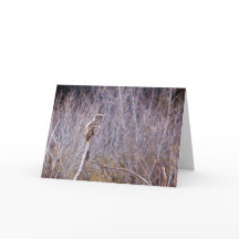 Prettige feestdagen Uil wens je toe