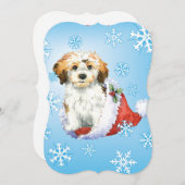 Prettige Howlidays Havanese Feestdagenkaart (Voorkant / Achterkant)