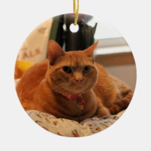 Prettige kat keramisch ornament