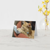 ***PRETTIGE KERST*** BEZIGE POES KAART (Gele Bloem)