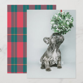 Prettige Kerstkaart met Dwaas Huisdier Foto Kaart