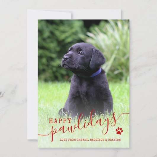 Prettige Pawlidays Hond Foto Modern Kerstmis Huisd Feestdagenkaart (Voorkant)