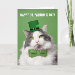 Prettige St. Patrick's Dag Mooie Kitten in het Gro Feestdagen Kaart