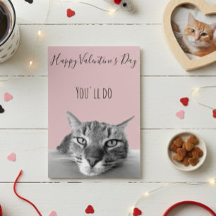 Prettige Valentijnsdag Van Kat Tot Menselijke Humo Kaart