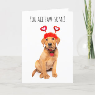 Prettige Valentijnsdag voor elke schattige puppy Feestdagen Kaart