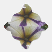 Pretty Bedankdoosjes (Uitgevouwen)