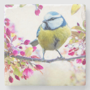 Pretty Blauwe & Gele Vogel op een Tak Foto Stenen Onderzetter
