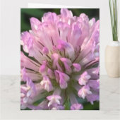 Pretty Clover Flower  Kaart (Achterkant)