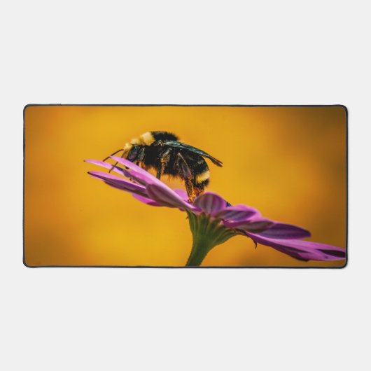 Pretty Computer Mat (Recto)