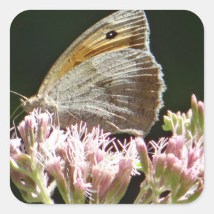 Pretty grote vlinder vierkante sticker