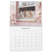 Pretty Kittens Pastel Pink 2026 Calendrier mural (Jan 2026)