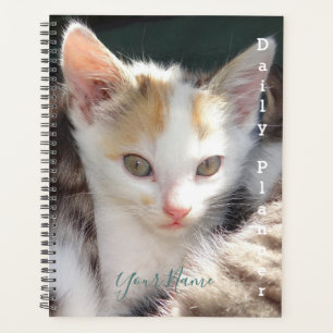 Pretty Kitty - Planificateur quotidien- HAMbWG