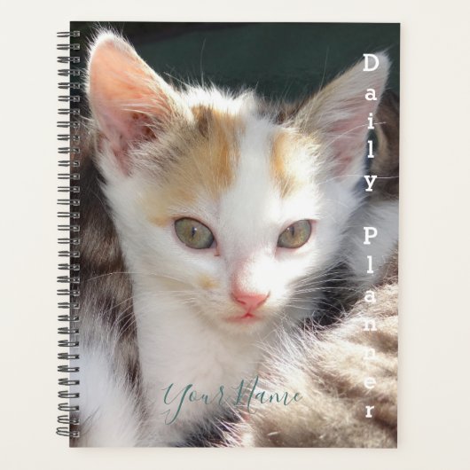 Pretty Kitty - Planificateur quotidien- HAMbWG (Devant)